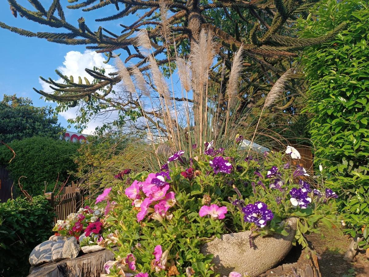 كومو B&B Il Tulipano المظهر الخارجي الصورة