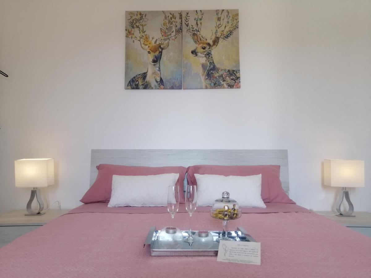 كومو B&B Il Tulipano المظهر الخارجي الصورة